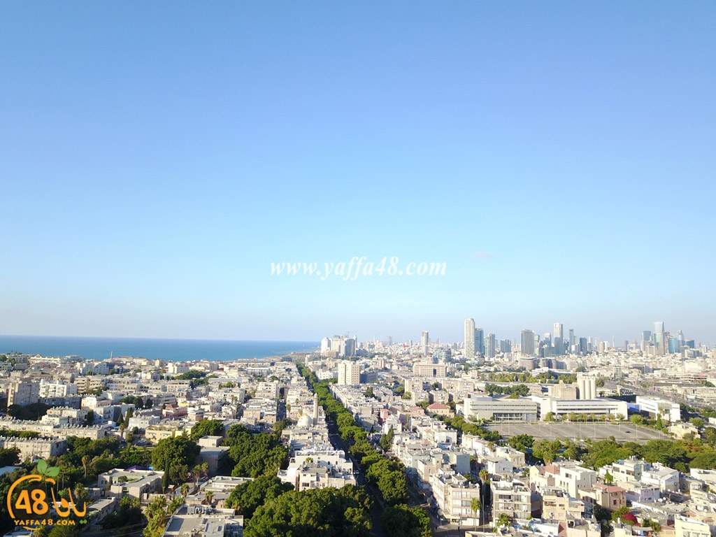 jamal basha tsterre (35).JPG